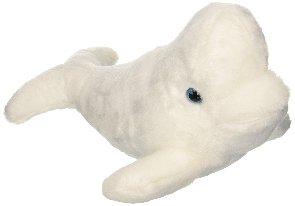 Beluga Whale