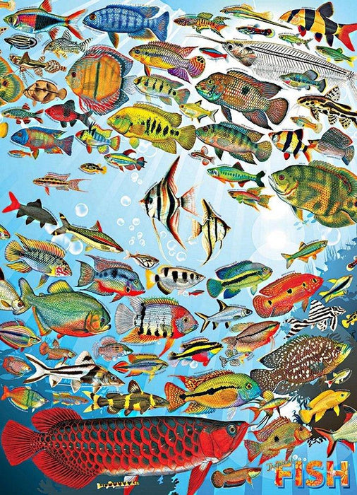 Tropical Fish 1000 pc puzzle